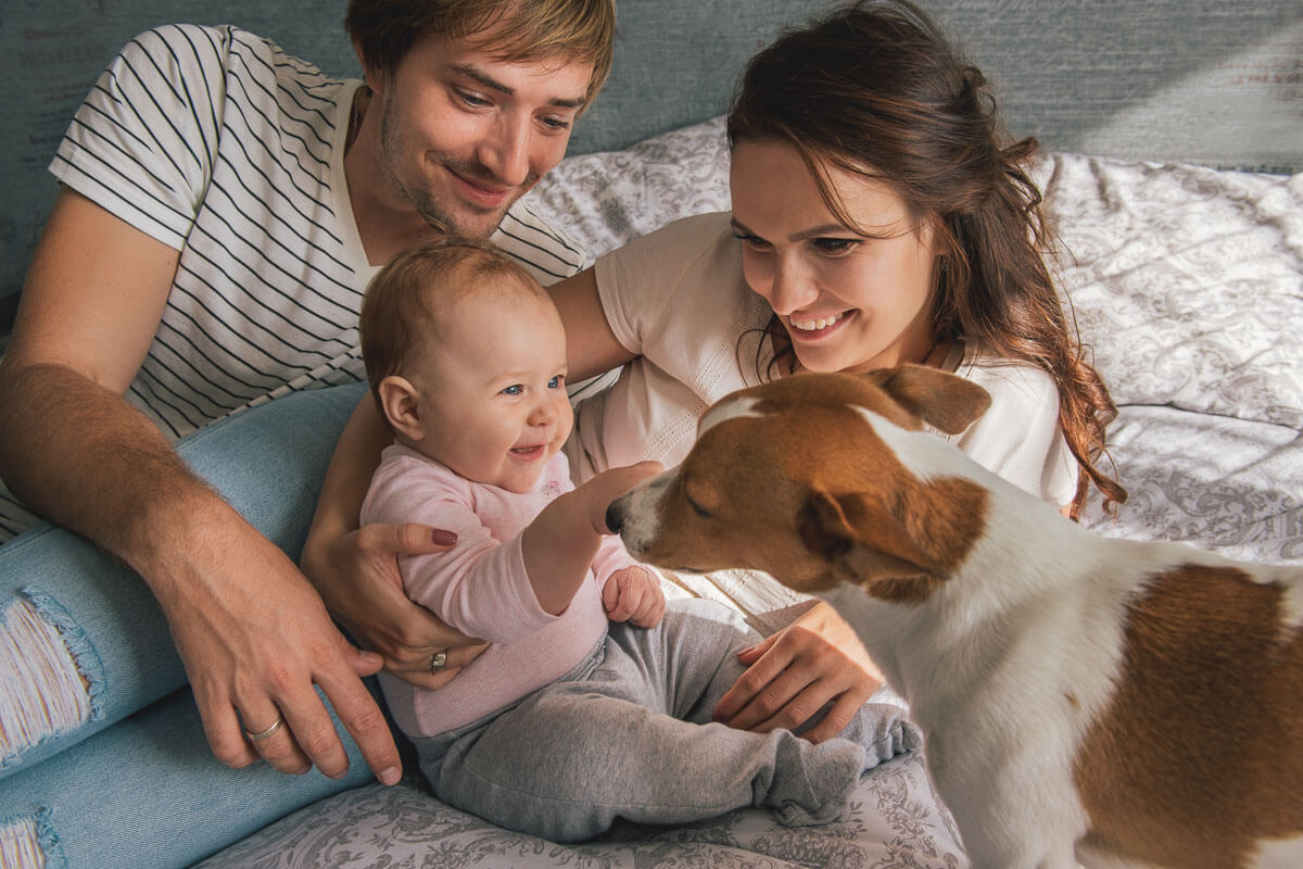 Family of three lying on a bed. One adult is supporting the baby while it pats a Jack Russell. The other adult is lying behind the group looking on.